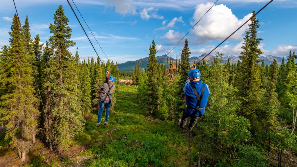 denali zipline tours