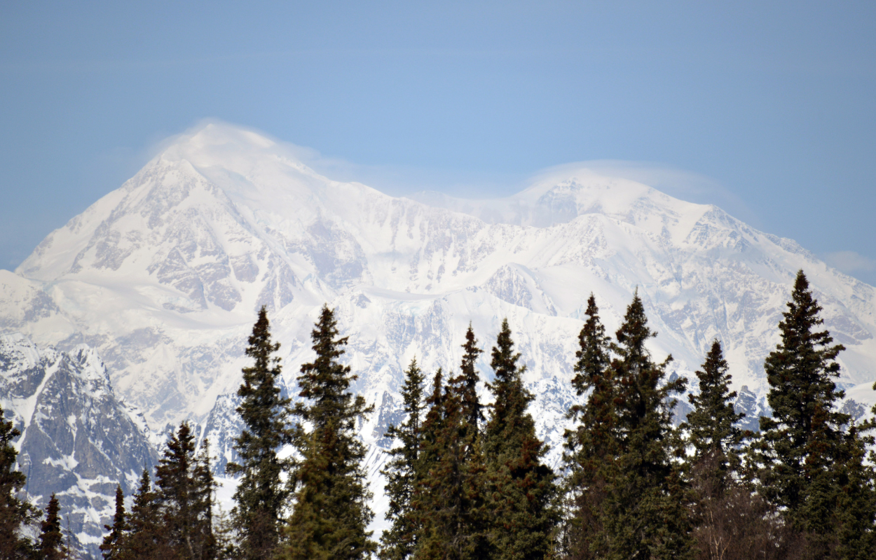 A Day Trip from Fairbanks to Denali National Park