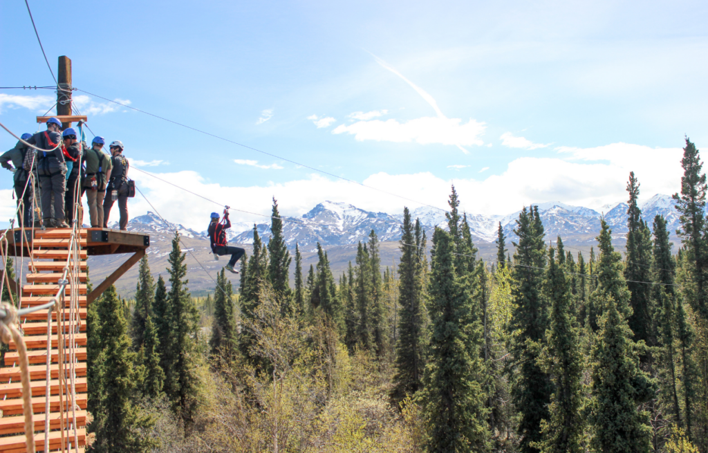 Denali Park Zipline