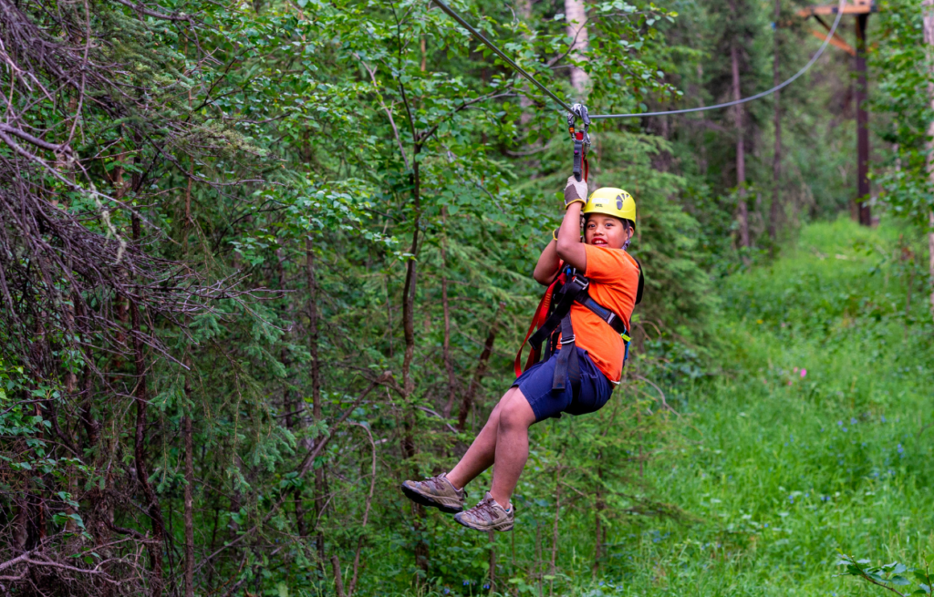 denali for families, denali park zipline