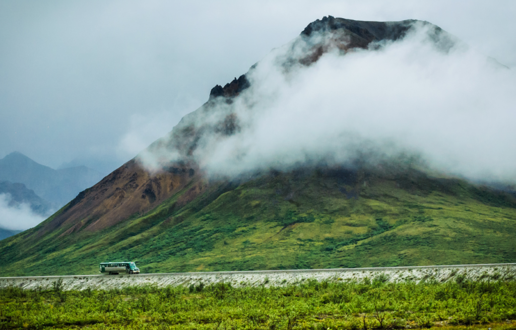 denali national park tour